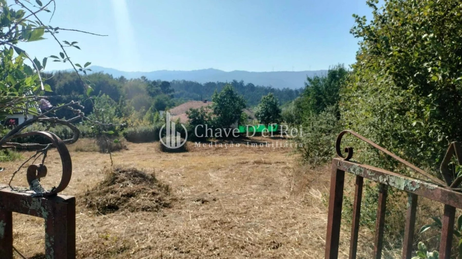 Terreno para Venda em Vilar de Besteiros e Mosteiro de Fráguas