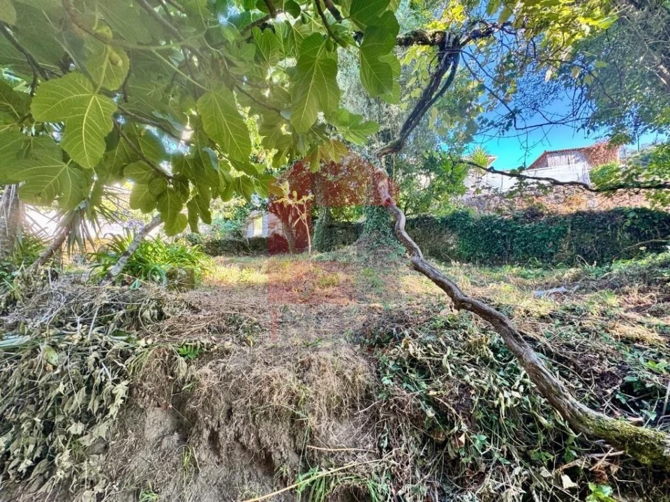 Moradia T2 para Venda em Pico de Regalados, Gondiães e Mós Foto 68