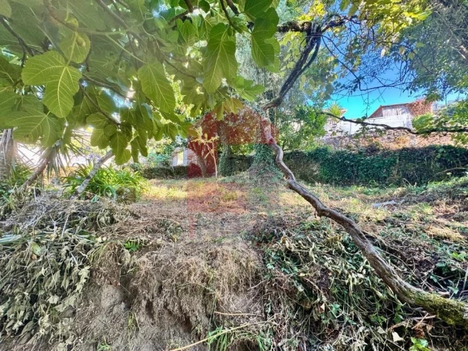 Moradia T2 para Venda em Pico de Regalados, Gondiães e Mós Foto 68