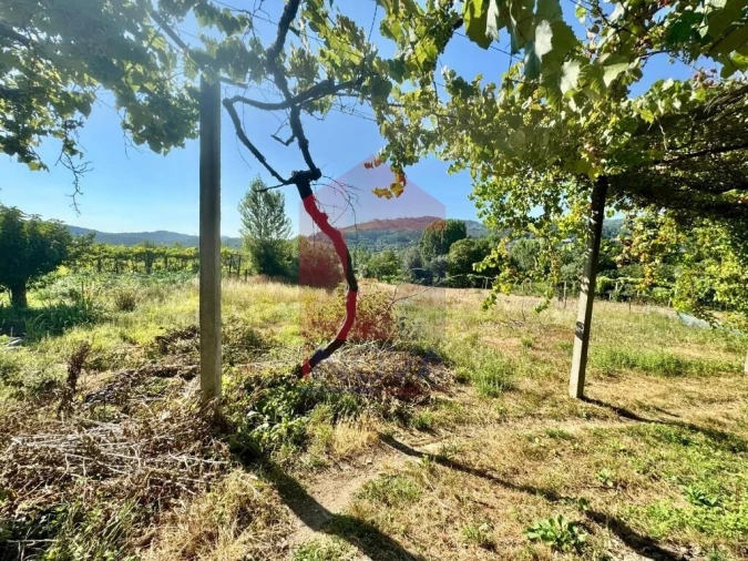 Moradia T2 para Venda em Pico de Regalados, Gondiães e Mós Foto 69