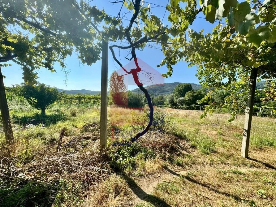 Moradia T2 para Venda em Pico de Regalados, Gondiães e Mós Foto 70