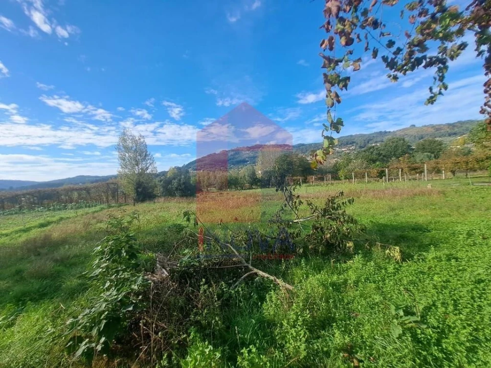Moradia T2 para Venda em Pico de Regalados, Gondiães e Mós Foto 85