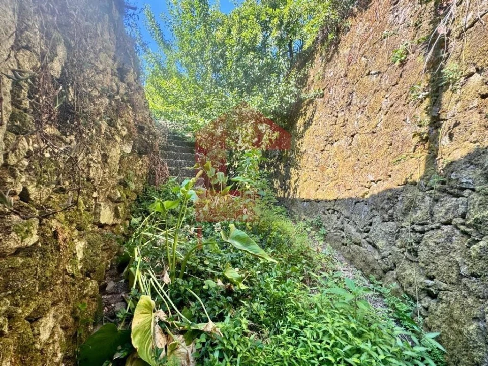 Moradia T2 para Venda em Pico de Regalados, Gondiães e Mós Foto 62