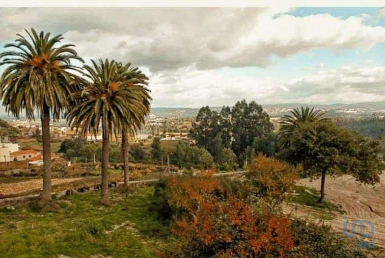 Terreno para Venda em Louredo Foto 11