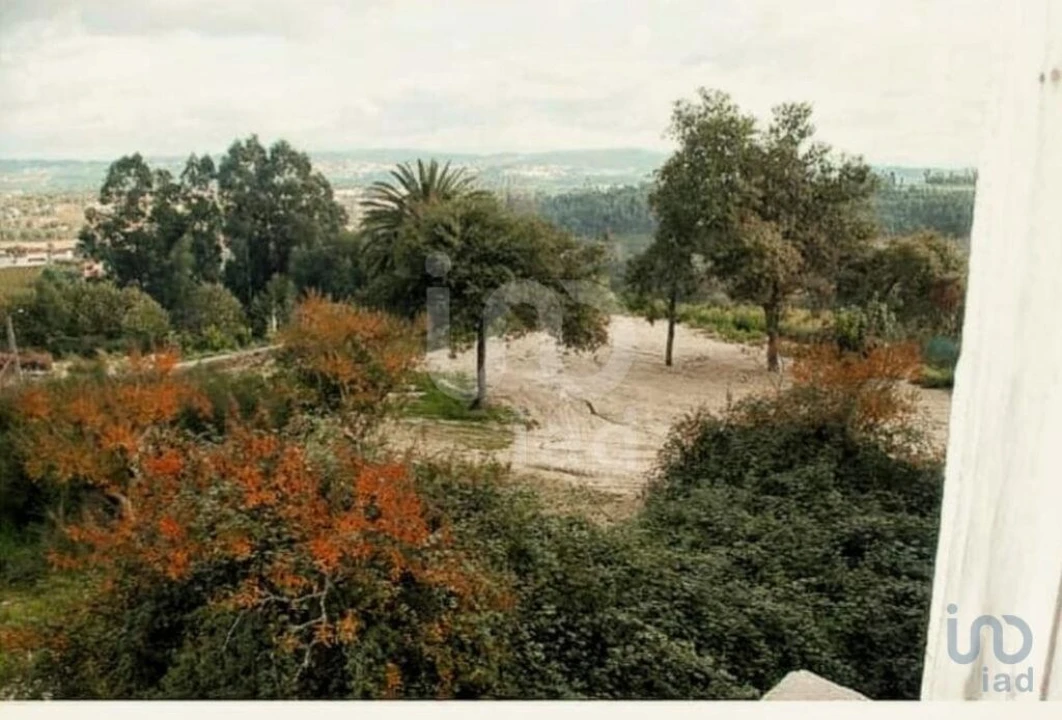 Terreno para Venda em Louredo Foto 13
