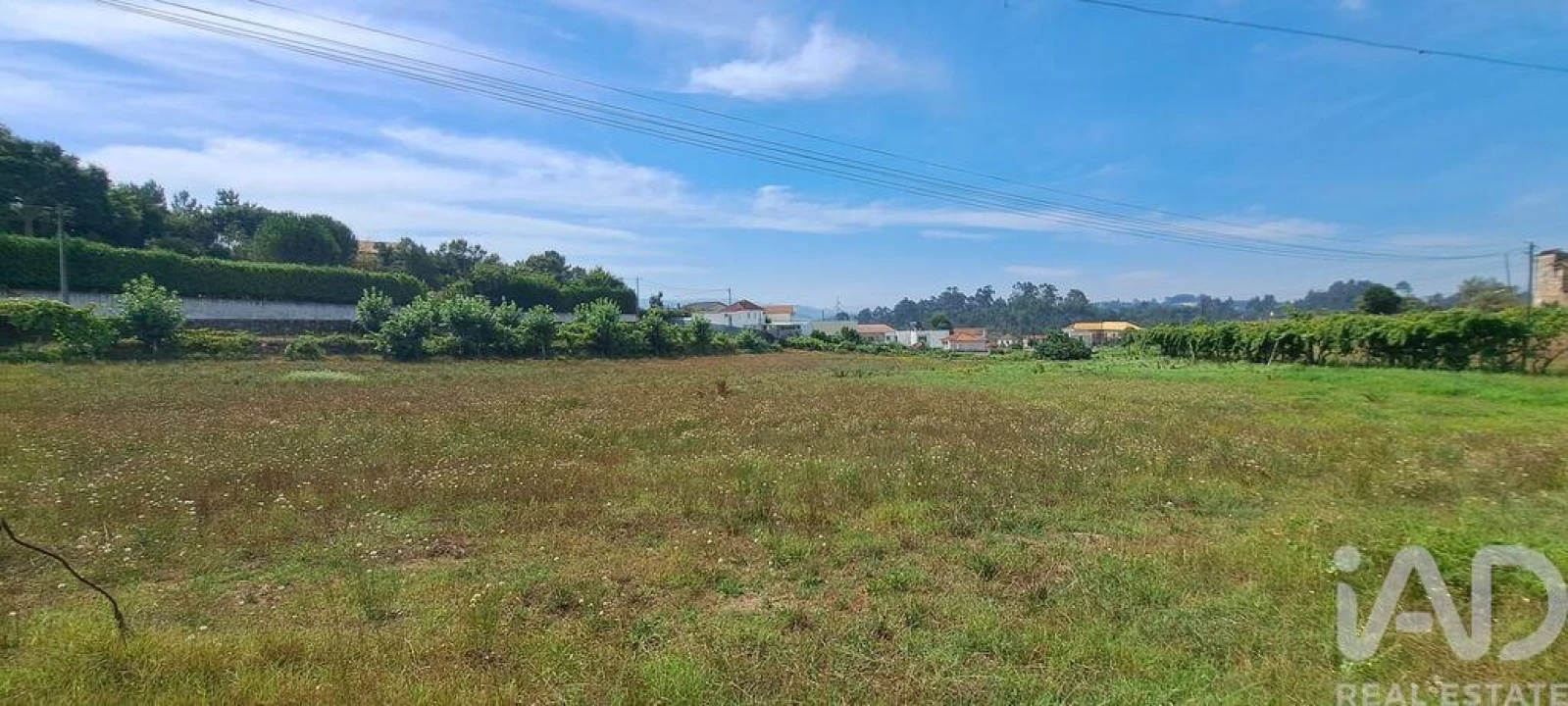Terreno para Venda em Cristelos, Boim e Ordem Foto 5