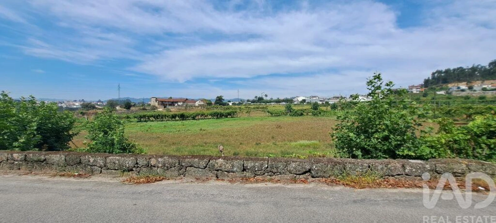 Terreno para Venda em Cristelos, Boim e Ordem Foto 3