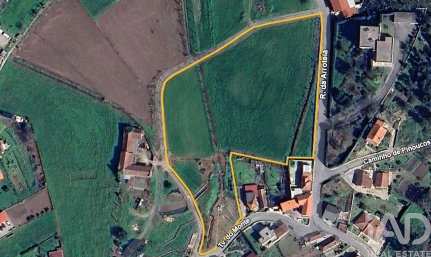 Terreno para Venda em Cristelos, Boim e Ordem Foto 7