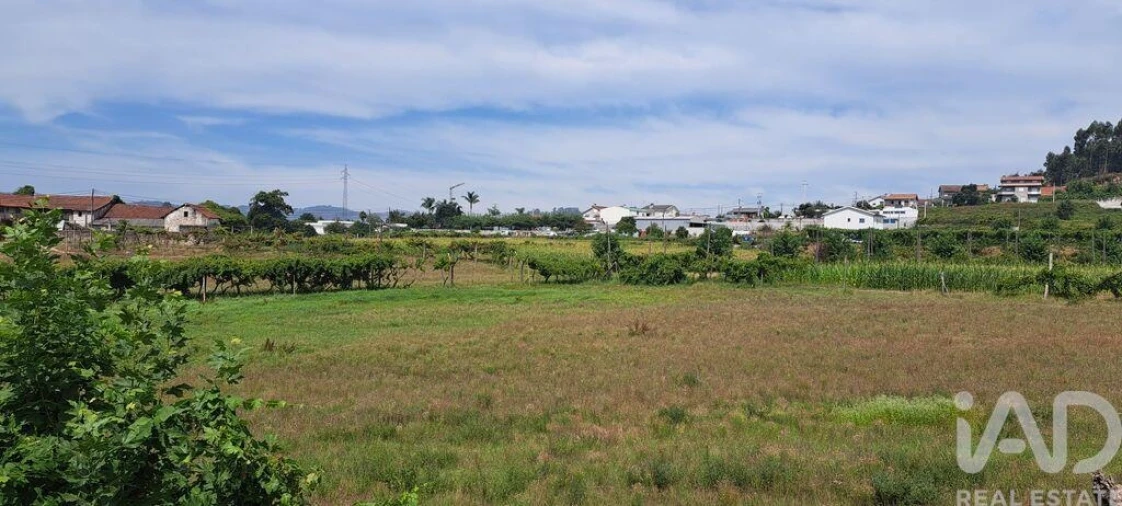 Terreno para Venda em Cristelos, Boim e Ordem Foto 5