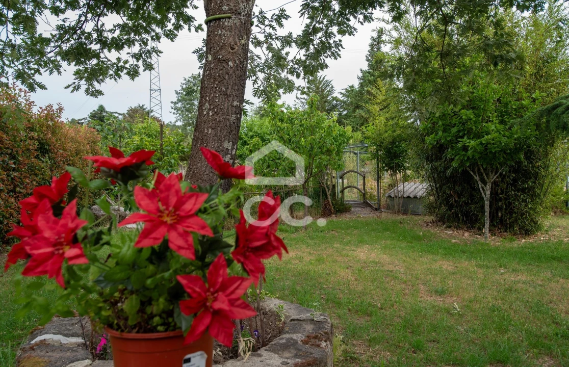 Quinta para Venda em Vale de Anta Foto 12