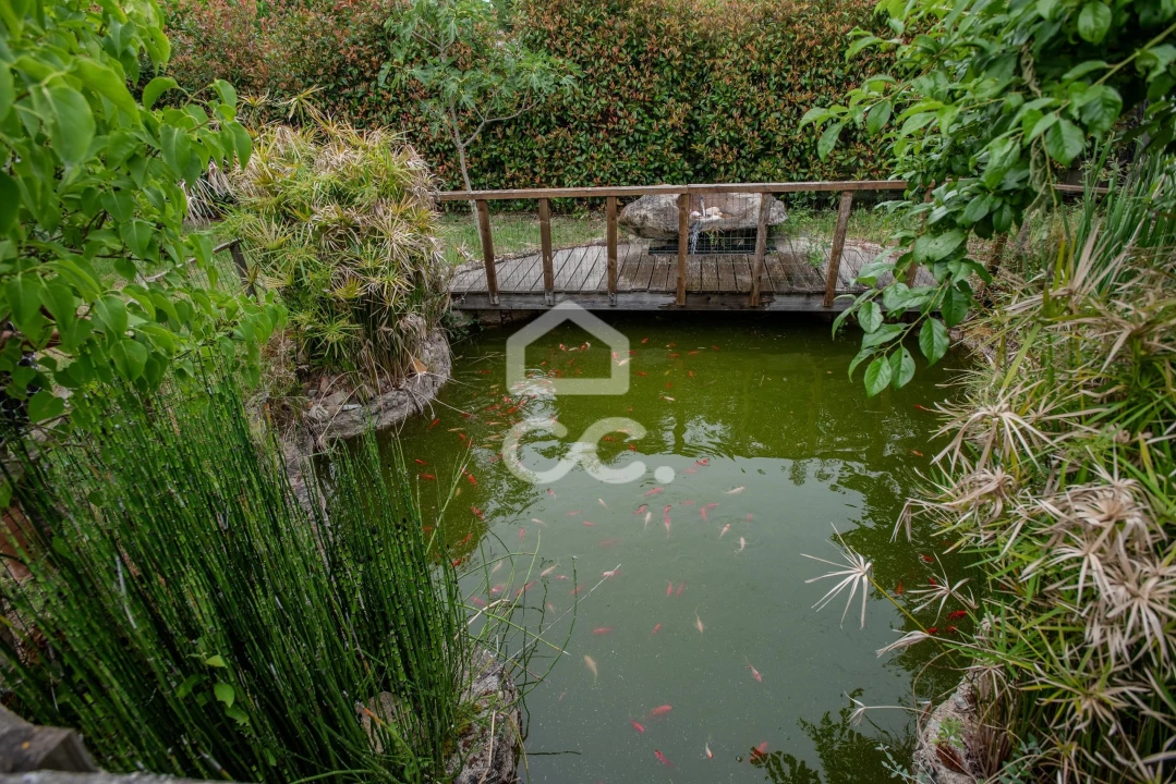 Quinta para Venda em Vale de Anta Foto 13