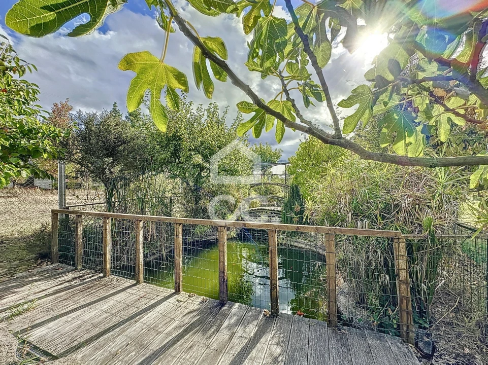 Quinta para Venda em Vale de Anta Foto 29