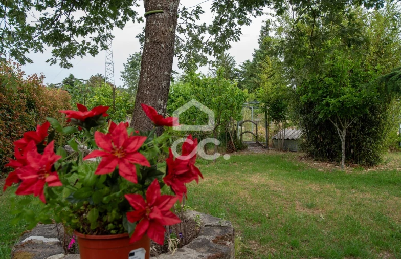 Quinta para Venda em Vale de Anta Foto 12