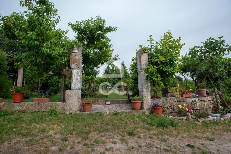 Quinta para Venda em Vale de Anta Foto 9
