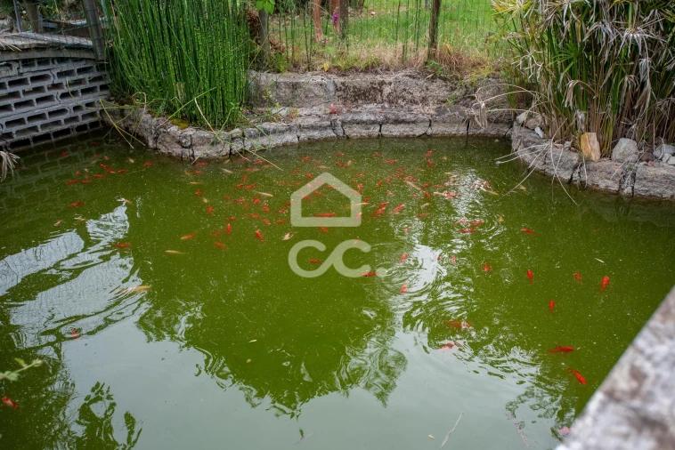 Quinta para Venda em Vale de Anta Foto 15