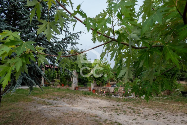 Quinta para Venda em Vale de Anta Foto 11
