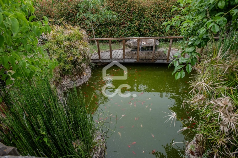 Quinta para Venda em Vale de Anta Foto 13