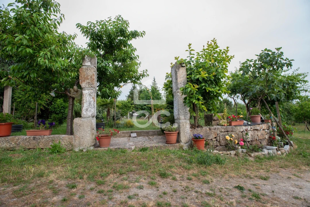 Quinta para Venda em Vale de Anta Foto 7