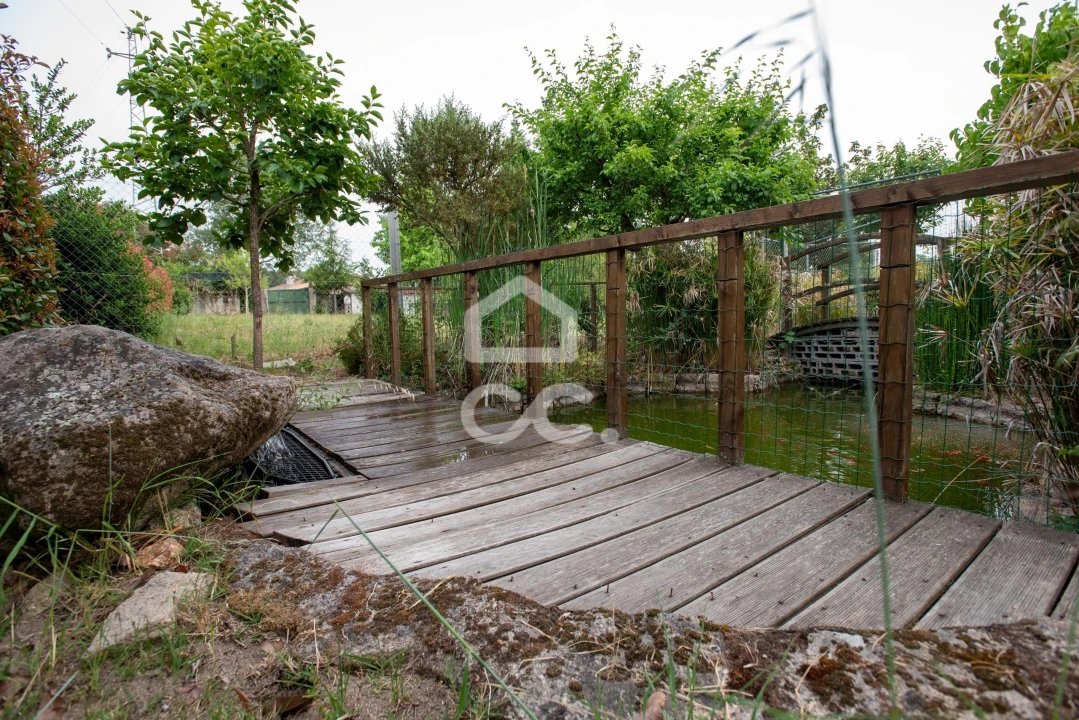 Quinta para Venda em Vale de Anta Foto 14