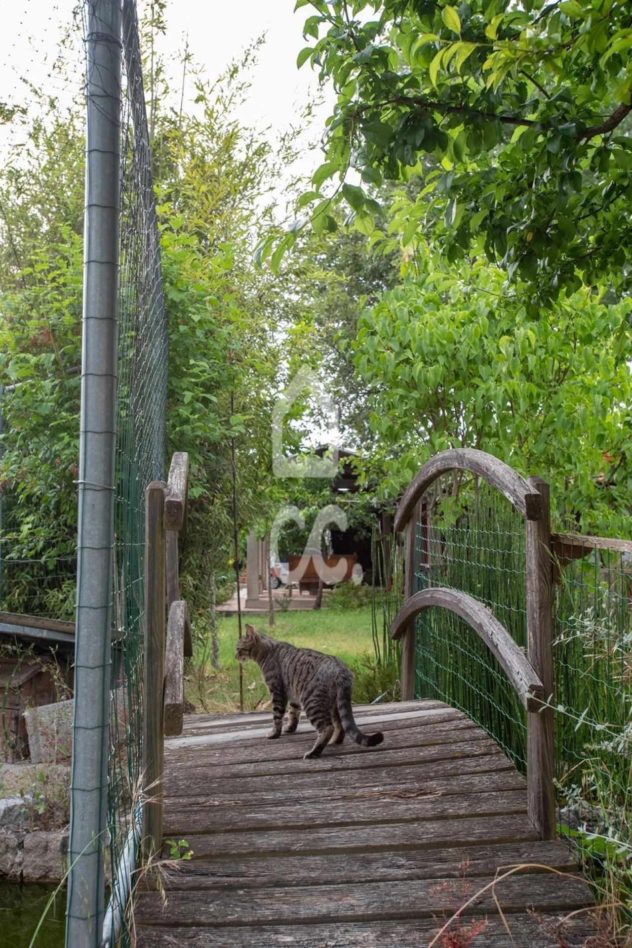 Quinta para Venda em Vale de Anta Foto 6
