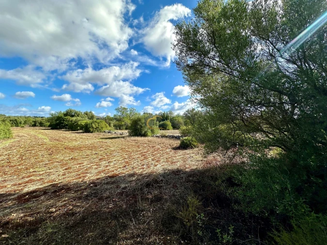 Terreno Agricola ou Rústico para Venda em Paderne Foto 3