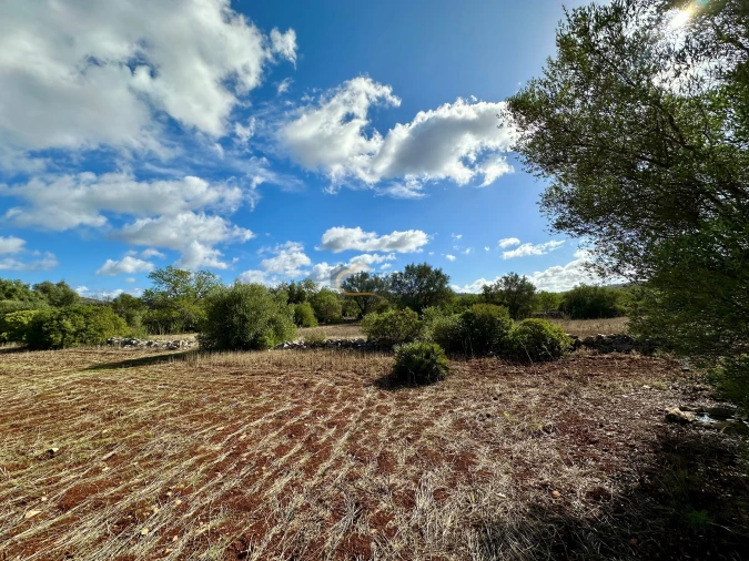 Terreno Agricola ou Rústico para Venda em Paderne Foto 4
