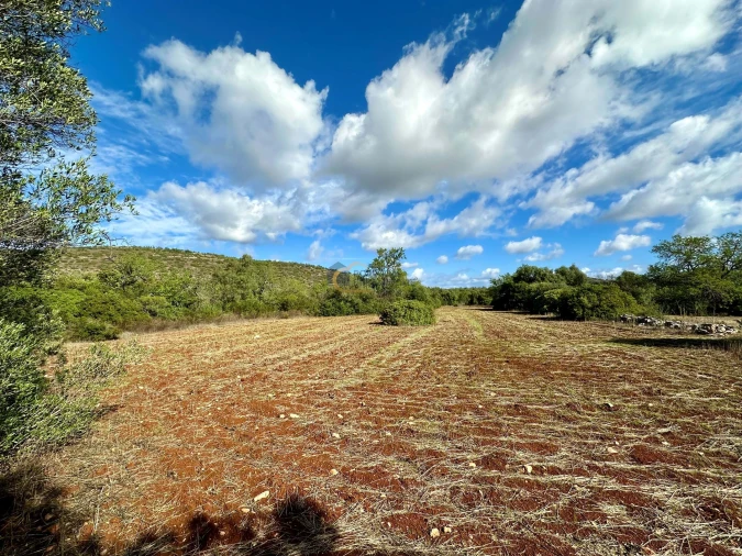 Terreno Agricola ou Rústico para Venda em Paderne Foto 1