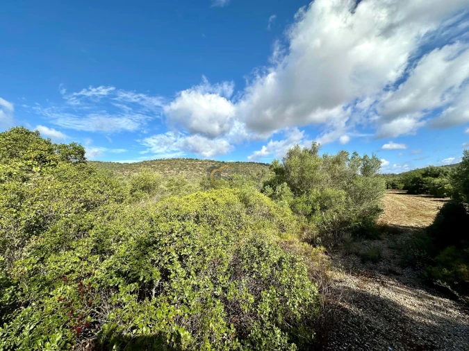 Terreno Agricola ou Rústico para Venda em Paderne Foto 7