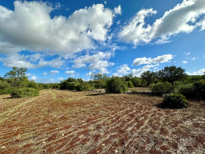 Terreno Agricola ou Rústico para Venda em Paderne Foto 6