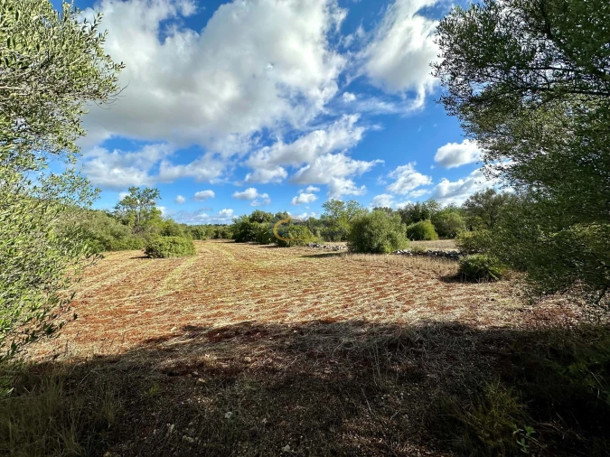 Terreno Agricola ou Rústico para Venda em Paderne Foto 5