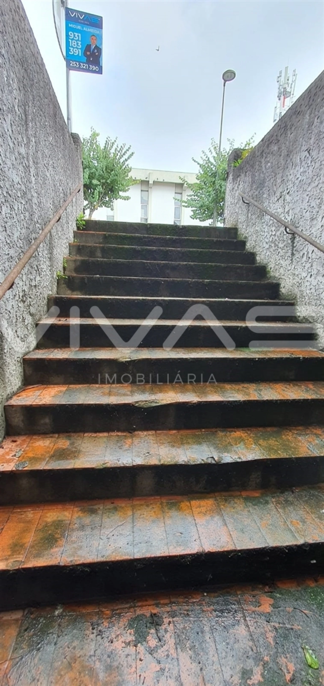 Loja para Venda em Vila Verde e Barbudo Foto 13