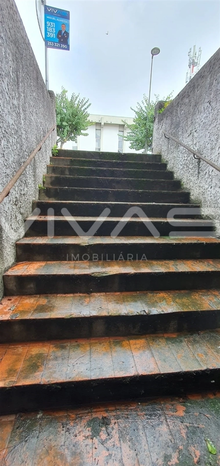 Loja para Venda em Vila Verde e Barbudo Foto 13