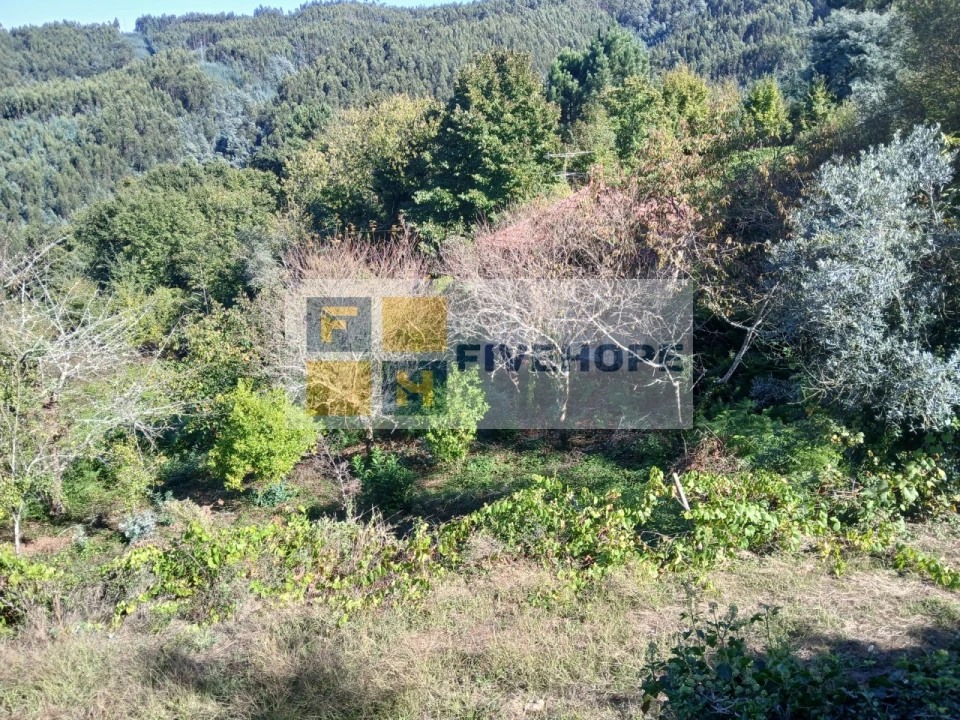 Moradia para Venda em Arrifana Foto 8