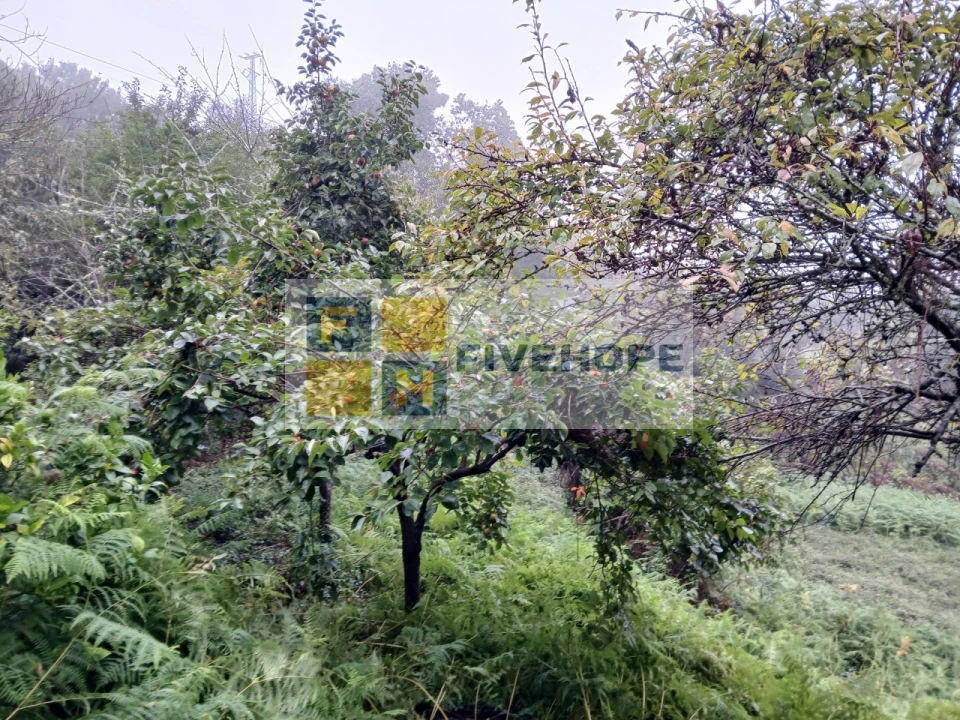 Moradia para Venda em Arrifana Foto 14