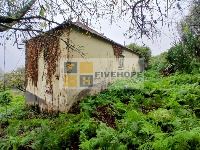 Moradia para Venda em Arrifana Foto 3