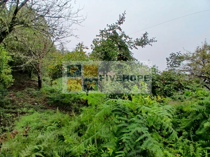 Moradia para Venda em Arrifana Foto 10