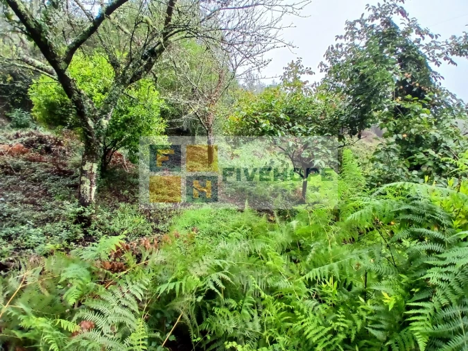 Moradia para Venda em Arrifana Foto 11