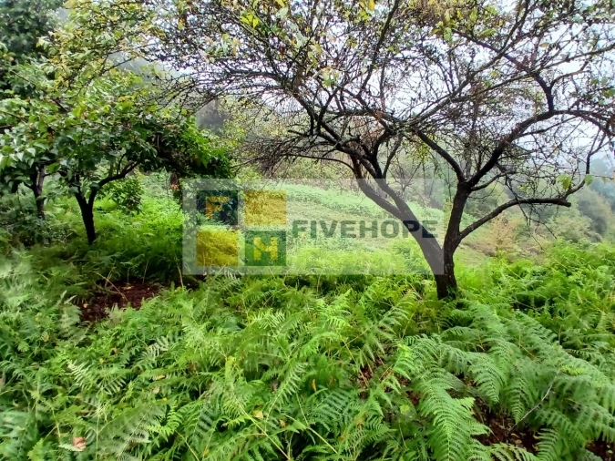 Moradia para Venda em Arrifana Foto 12