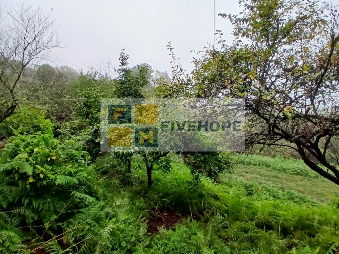 Moradia para Venda em Arrifana Foto 13