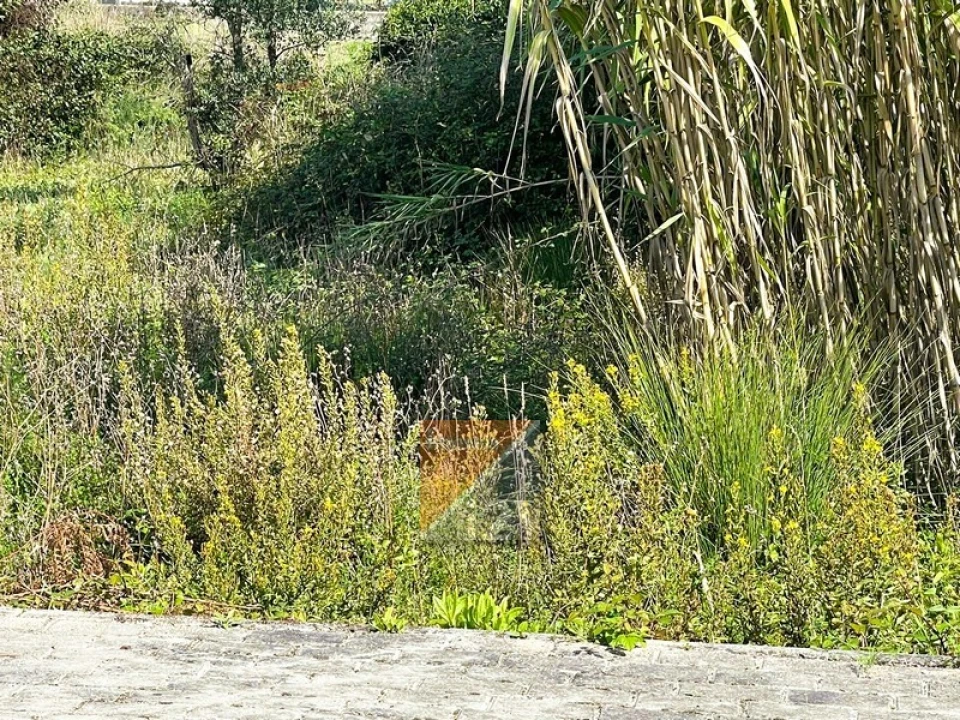 Terreno para Venda em Marrazes e Barosa Foto 9