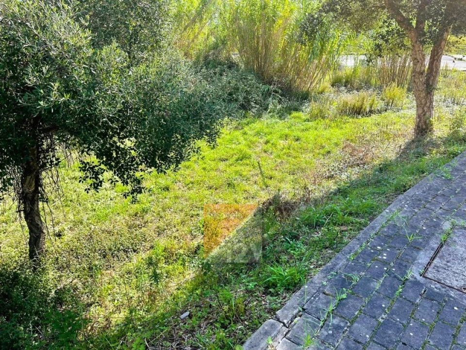Terreno para Venda em Marrazes e Barosa Foto 10