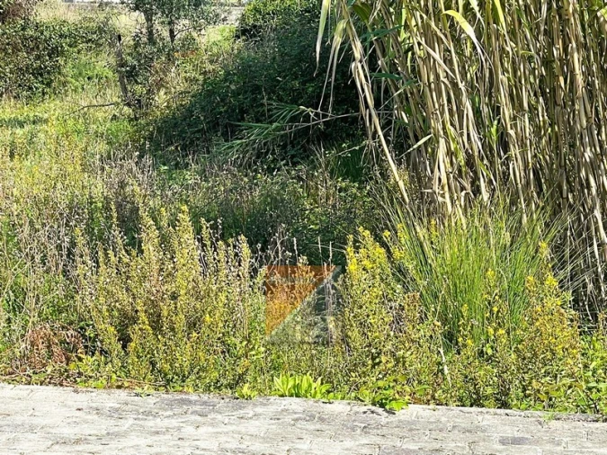 Terreno para Venda em Marrazes e Barosa Foto 9