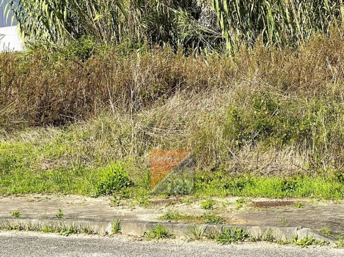 Terreno para Venda em Marrazes e Barosa Foto 11