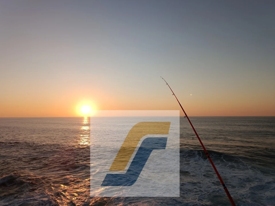 Moradia T4 para Venda em Ericeira Foto 48