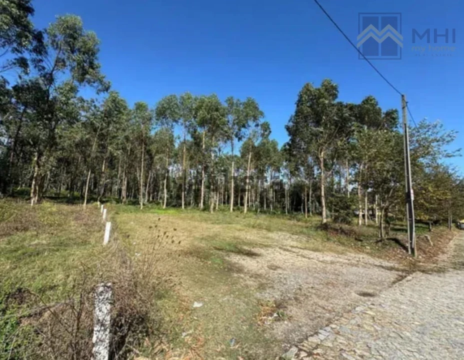 Terreno para Venda em Arvore Foto 1