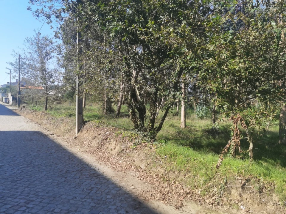 Terreno para Venda em Arvore Foto 6