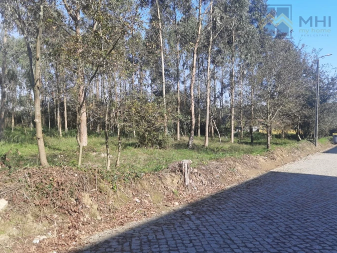 Terreno para Venda em Arvore Foto 2