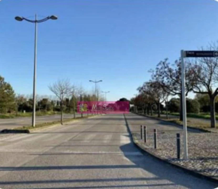 Terreno para Venda em São João Baptista Foto 4