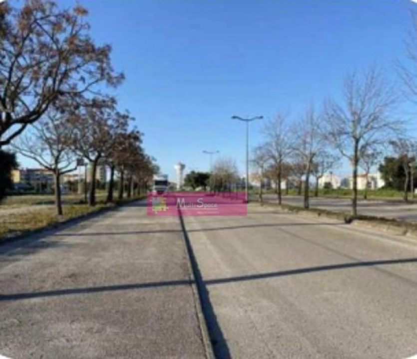 Terreno para Venda em São João Baptista Foto 3