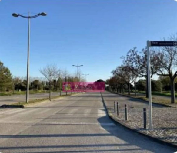 Terreno para Venda em São João Baptista Foto 4